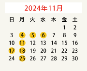 2024年11月