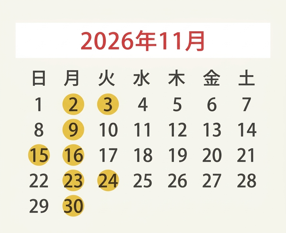 2026年11月